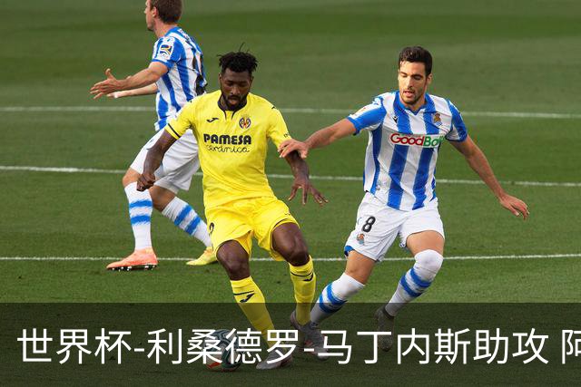 世界杯-利桑德罗-马丁内斯助攻 阿根廷半场暂1-0佛得角